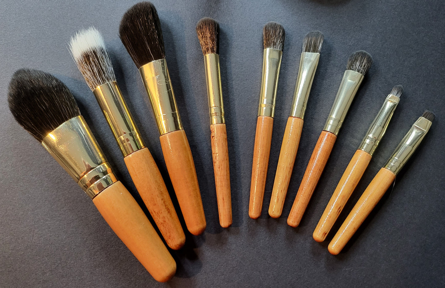 Mini Brushes - 9pc Set with Case